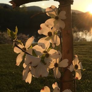 Meet your Posher, Jodee